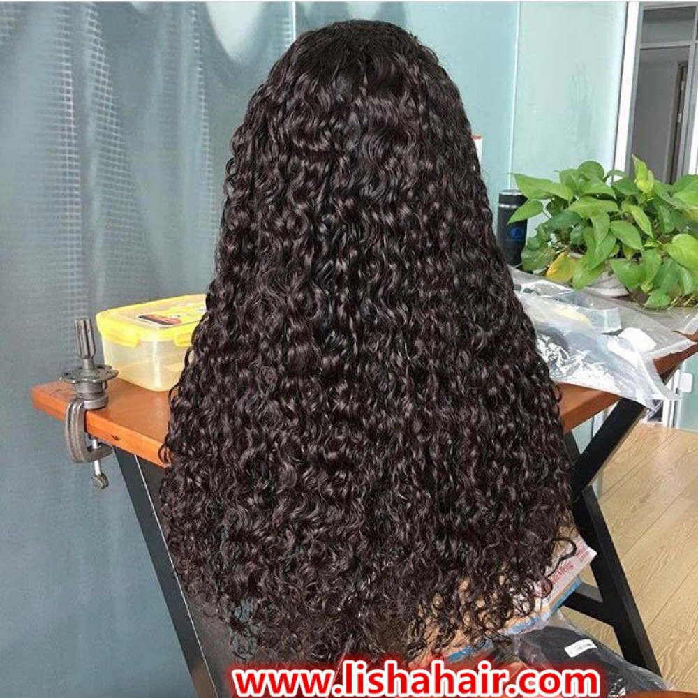 LishaHair Pre Plucked Lace Front Human Hair Wigs Brazilian Curly Lace ...